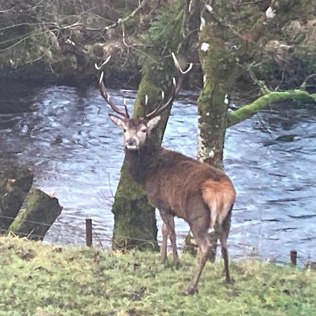 Appartamento Mingulay, Cuil Bay Appin Esterno foto